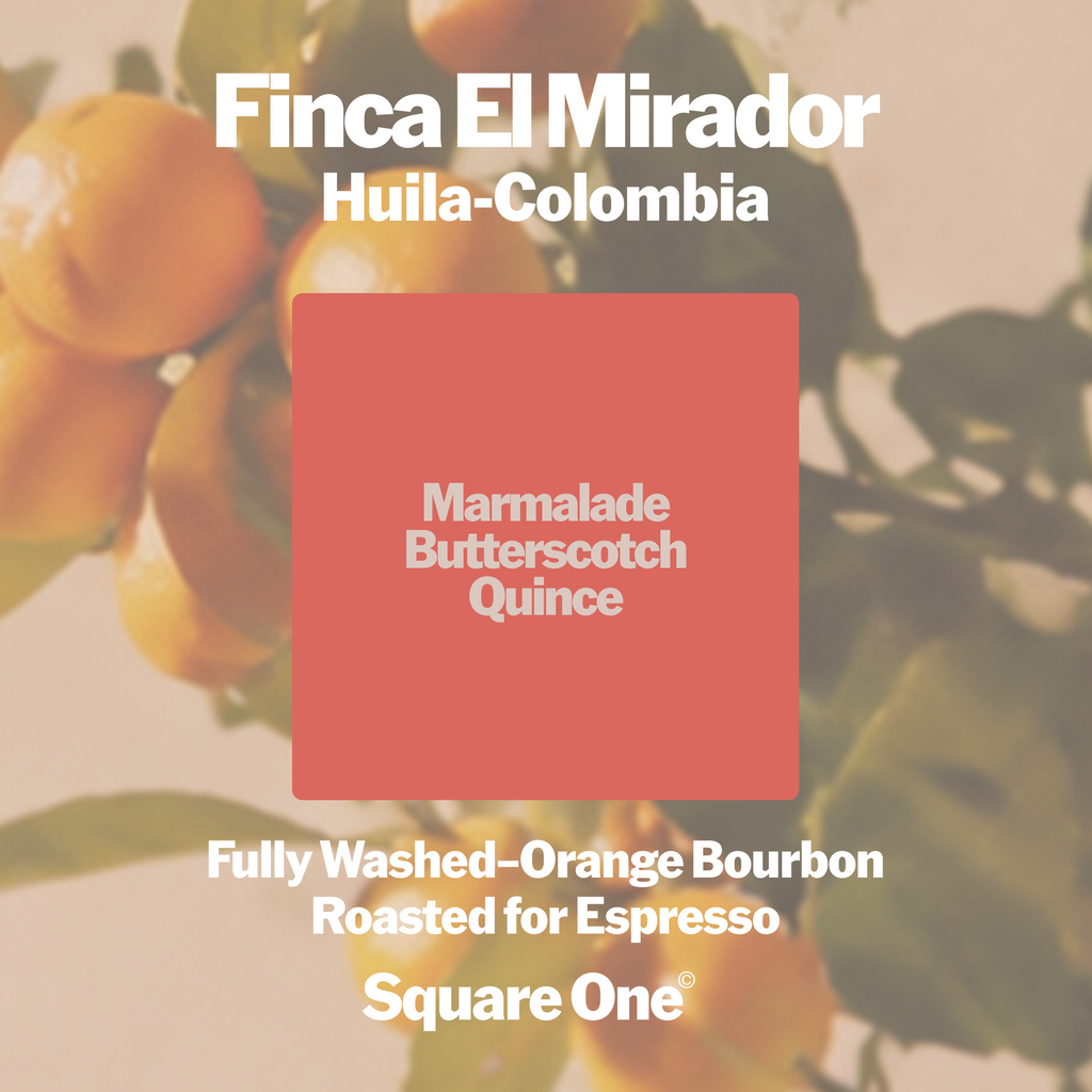 Finca El Mirador, Colombia — Washed Espresso