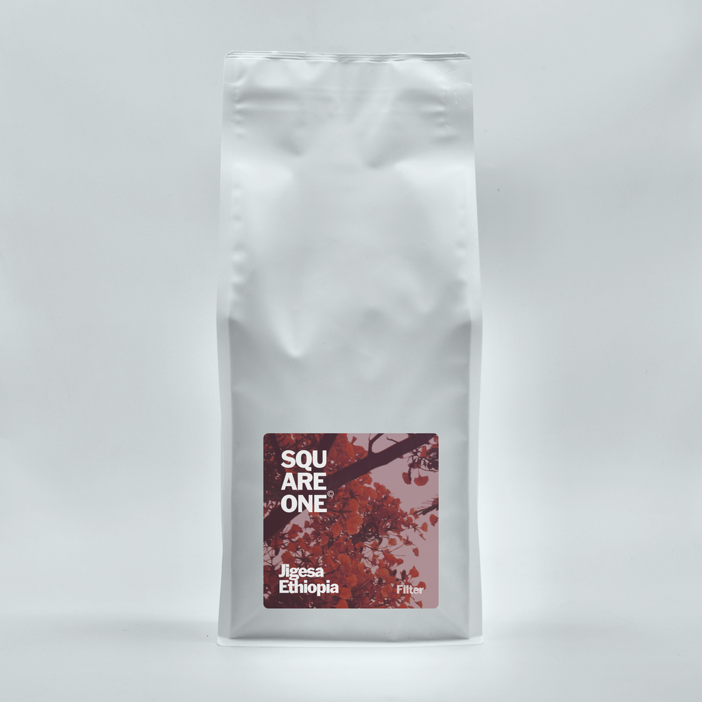 Ethiopia | Jigesa - Washed Filter