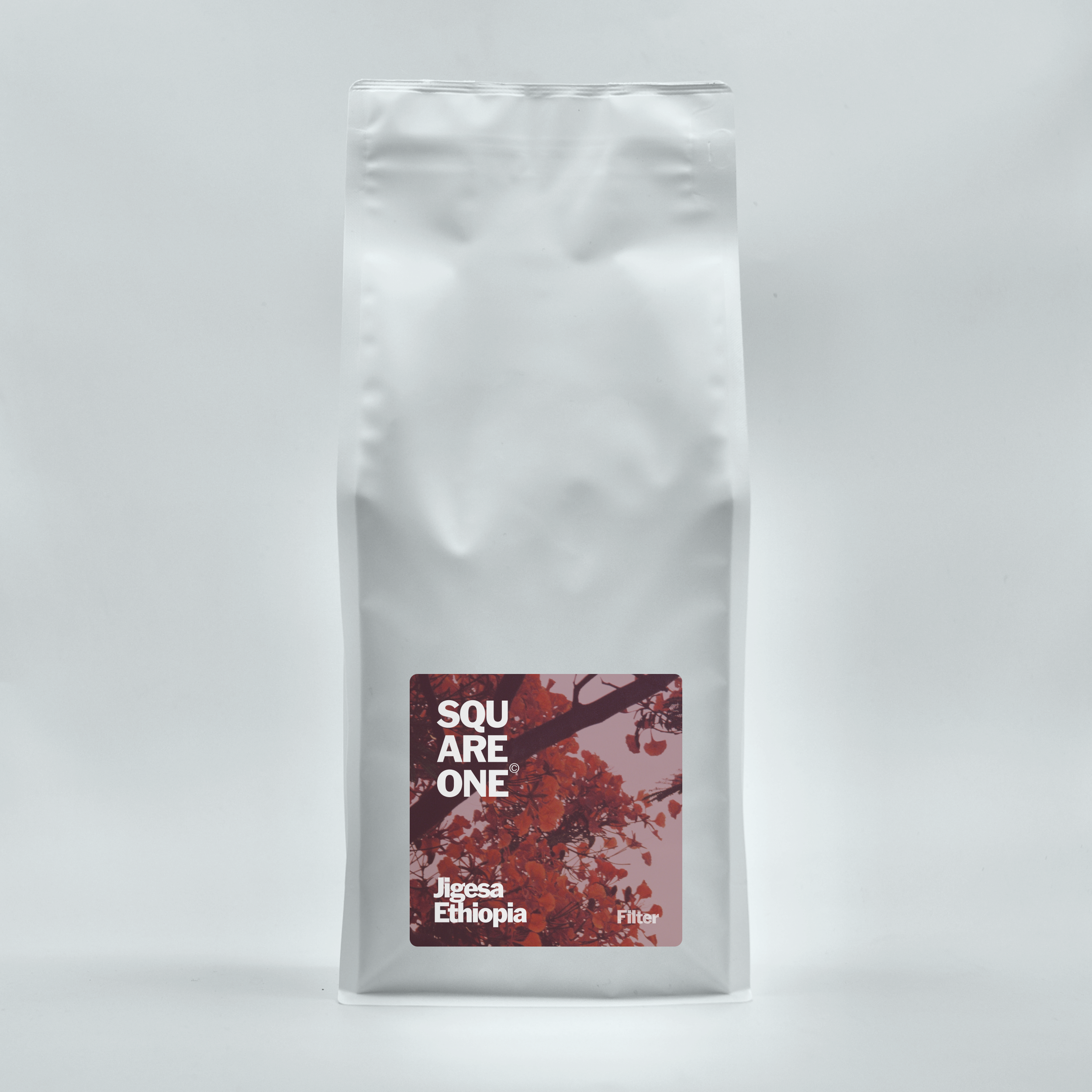 Ethiopia | Jigesa - Washed Filter