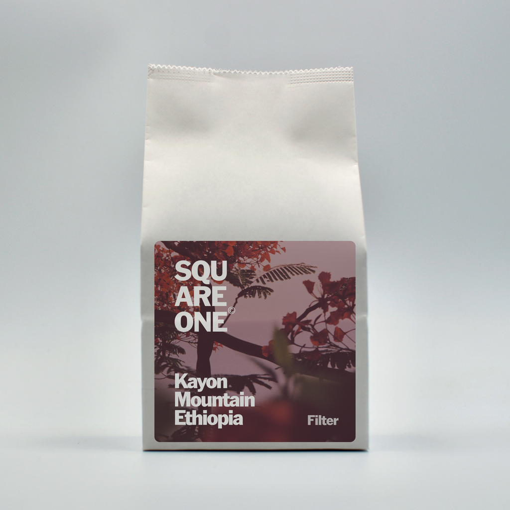 Ethiopia | Kayon Mountain - Washed Filter