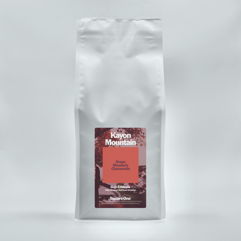 Ethiopia | Kayon Mountain - Washed Filter