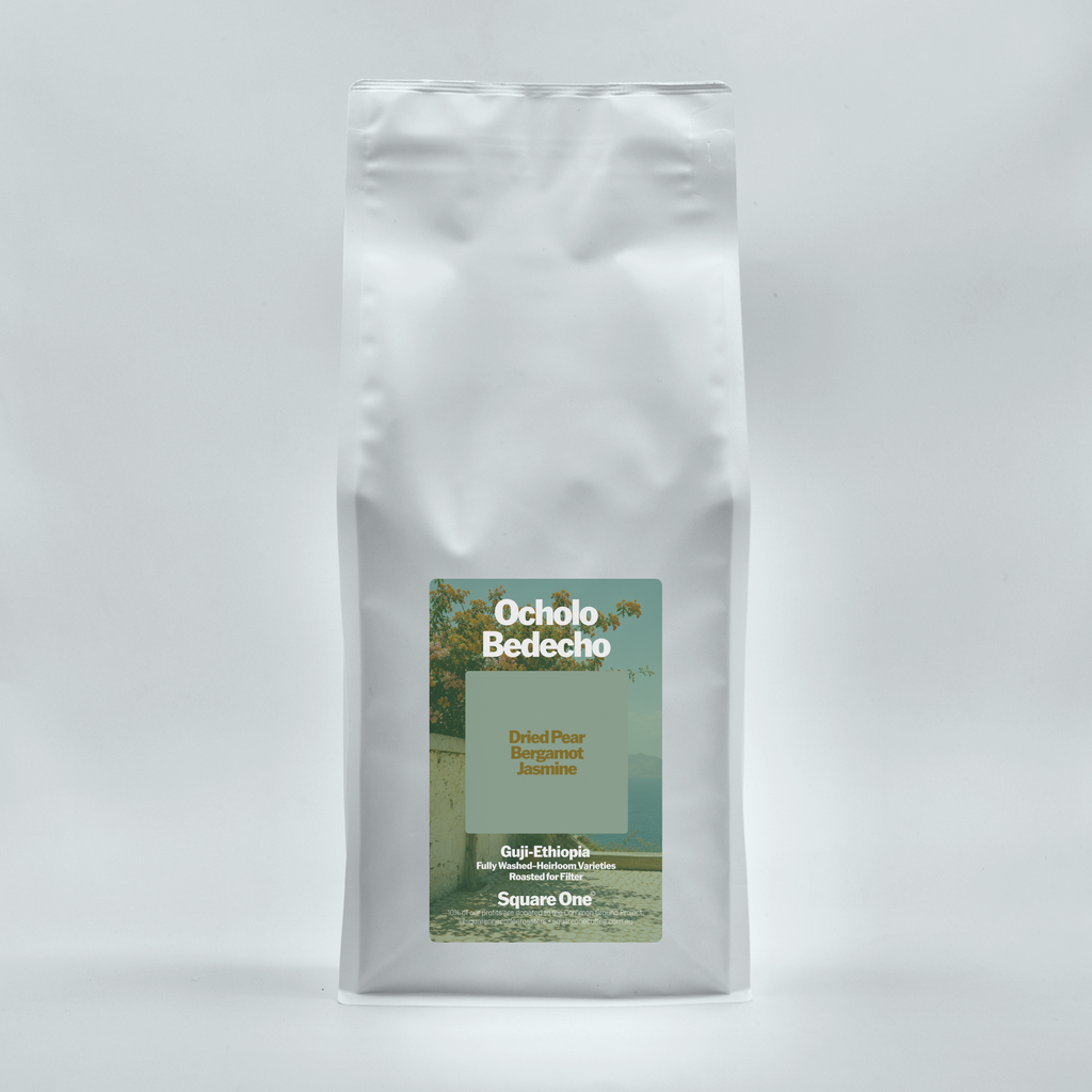 Ocholo Bedecho, Ethiopia — Washed Filter