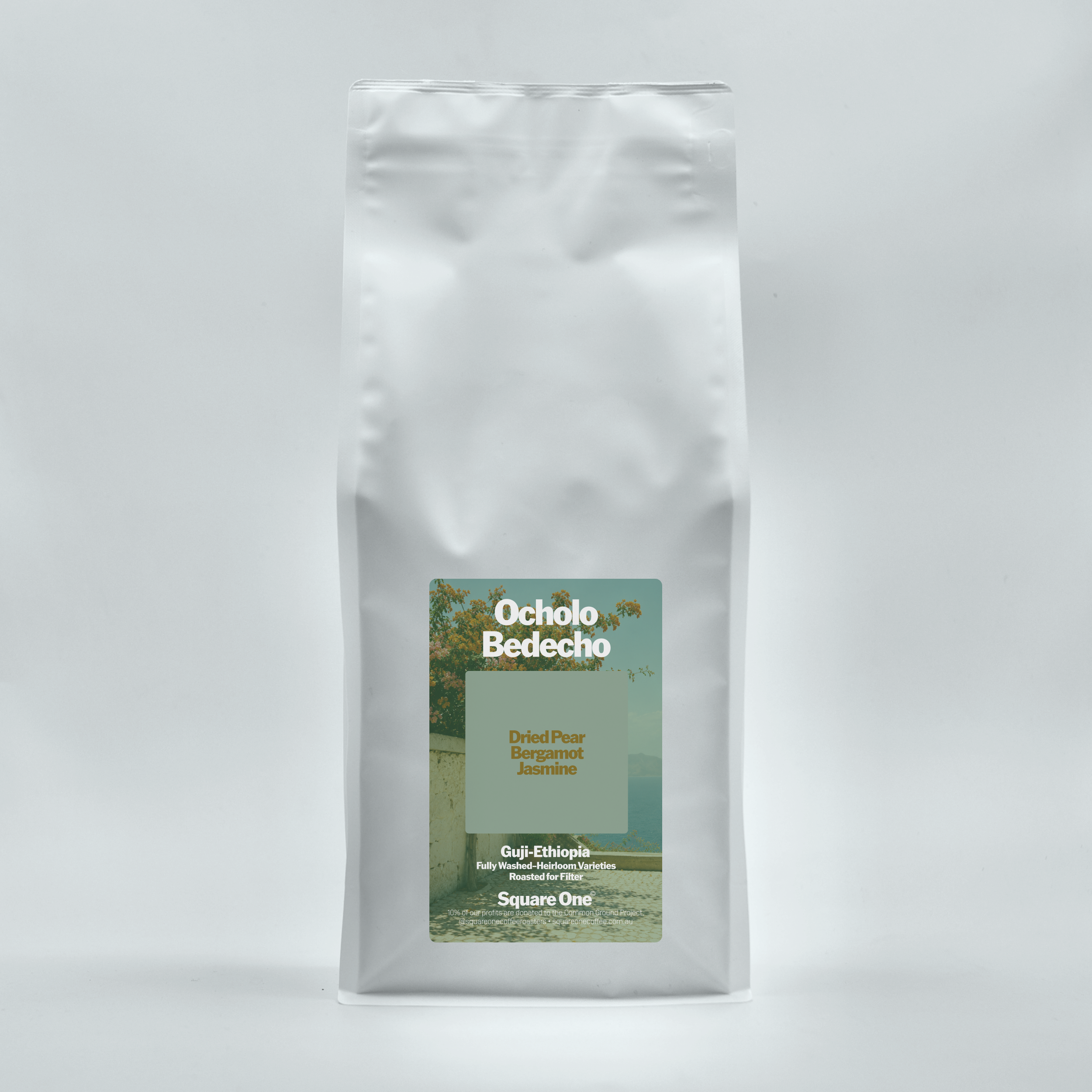 Ocholo Bedecho, Ethiopia — Washed Filter