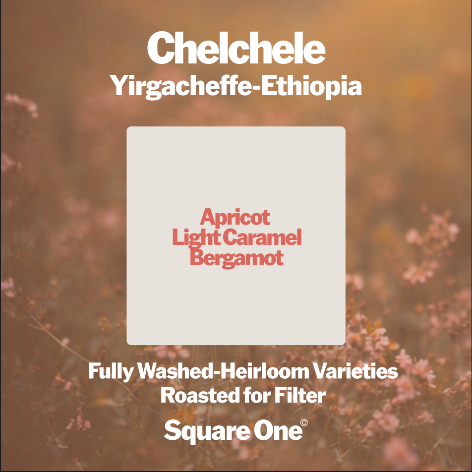 Chelchele, Ethiopia — Washed Filter