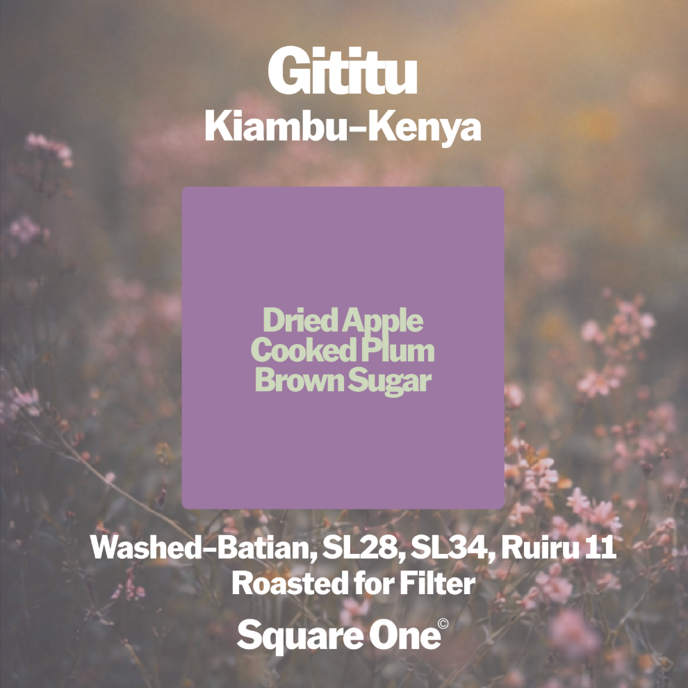 Gititu, Kenya — Washed Filter