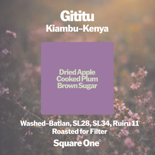 Gititu, Kenya — Washed Filter