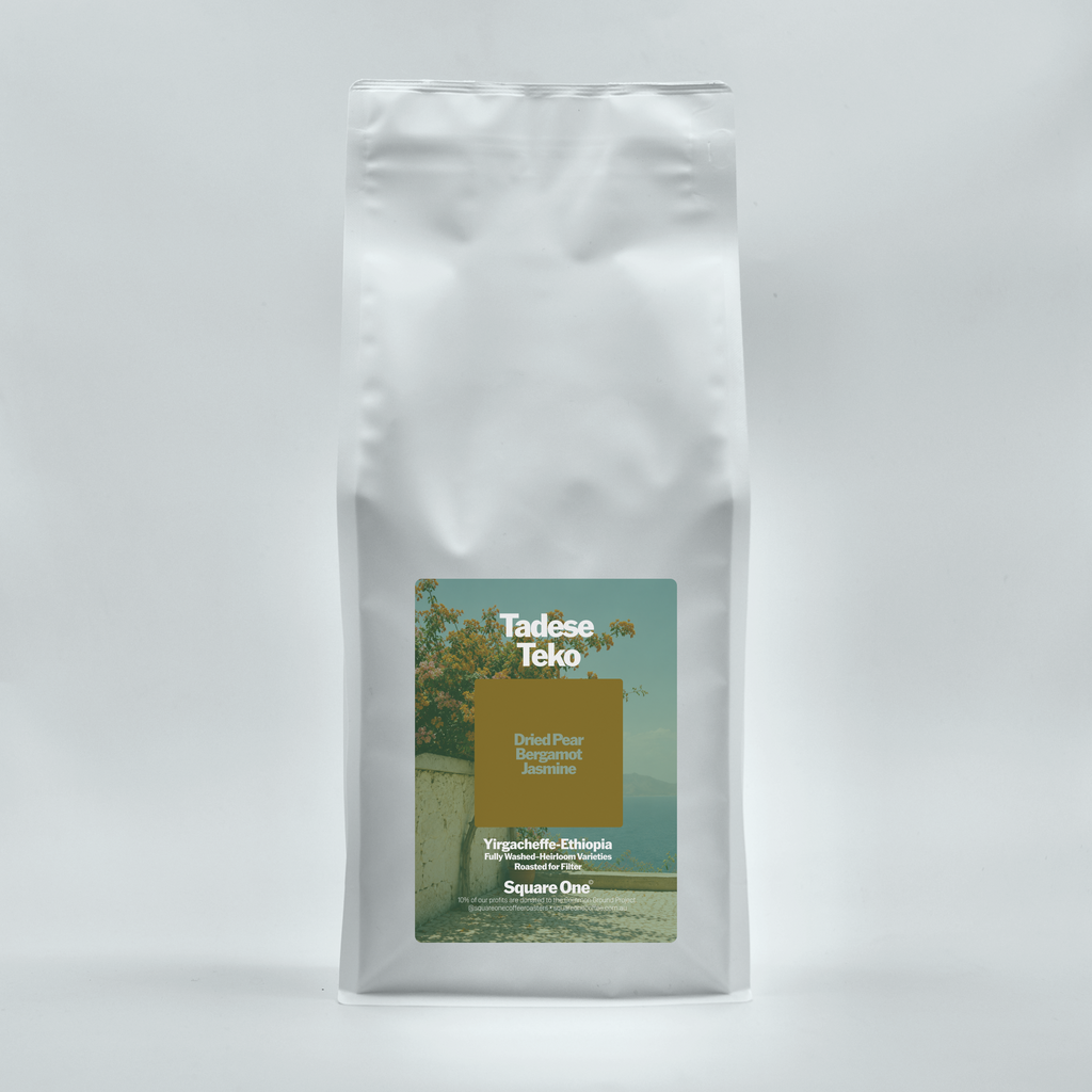 Tadese Teko, Ethiopia — Washed Filter